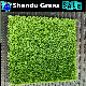 Plastic Floor Mat 20mm Landscaping Decoration Fake Green Grass Synthetic Turf Artificial Lawn manufacturer