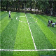 Synthetic Lawn Artificial Grass Turf Football Synthetic Grass