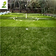 Eco-Friendly Padel Tennis Ourt Synthetic Lawn