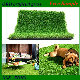 Home Garden Ornamental Artificial Grass Mat for Dogs, Pet, Landscaping Synthetic Turf Lawn for Swimming Pool Carpet