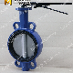  High Performance Wafer Butterfly Valve Soft Replaceable Seat