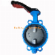 High Quality Pn10 Pn16 Ductile Iron Cast Iron Wafer Butterfly Valve Two Holes Soft Seat CE Approval