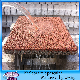 Porous Water Permeable Brick Paving Stone for Patio, Driveway, Garden