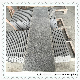 G654 Granite Paving Tile for Square