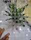  Golden Quality, Deep Clear Acid Etched Decorative Glass/ Laminated Glass