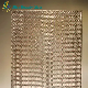 Tecture Special Decorative Wired Laminated Glass