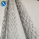 Galvanized Stop Angle/Corner Bead Wing Mesh for Stair Construction and Render