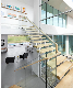 Steel Modern Cat Ladder Design Straight Indoor Staircase/Wooden Tread Ladder