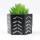 Flowerpot Artificial Succulent Plants Potted Indoor Outdoor Decoration Ci24795