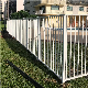 Hot Dipped Galvanized Black Powder Coating Wrought Iron/Steel Garden Fences