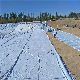 Two Textile One Membrane PE Composite Geomembrane Used in Anti-Seepage