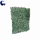  China High Quality Earthwork Products Three Dimensional Geomat 3D Plastic Erosion