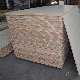 Melamine/Natural Wood Veneer Commercial Blockboards for Building