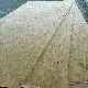  1220*2440mm 9mm to 25mm OSB OSB1 OSB2 OSB3 OSB4 for South Amercian Market