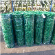 Multi-Purpose Green Plastic Coated Wire Mesh