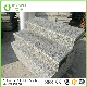 Our Own Quarry Natural Granite Stairs G623 / Rosa Beta