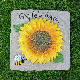 Customized Garden Sunflower Square Stepping Stone Cement Stepping Stone for Garden