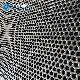 Export Perforated Sheet in Aluminum / Galvanized / Stainless Steel Material manufacturer