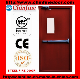 Fire Rated Steel Fire Door with BS Certificate (CF-F008)