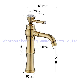  Huadiao 2022 Crystal Hot and Cold Gold Basin Tap Faucet