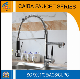  Modern and Popular Brass Spring Kitchen Faucet CB-21205