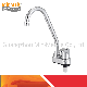 Deck Mounted Sanitary Ware Plastic Cold Water Tap Kitchen Faucet Hg-SL01