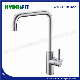 Stainless Steel 304 Economic Hot Sale Kitchen Faucet Sink Mixer Water Tap (FT1207)