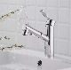 Pull-out Black Brass Bathroom Tap Sanitary Ware Wholesale Kitchen Basin Mixer