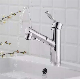Pull-out Black Brass Bathroom Tap Sanitary Ware Wholesale Kitchen Basin Mixer