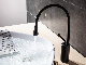  Single Handle Matte Black Swan Neck Water Drop Basin Faucet