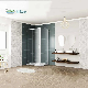 CE Guangdong Foshan Hardware Quick Assembly Aluminium Shower Room with Groove Pulley manufacturer