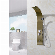 Hotaqi Modern Brushed Bronze Good Quality Ss 304 Shower Wall Panel