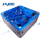 Joyee Hydrotherapy Swim Pool Blue Acrylic Hot Tub Bathtub SPA