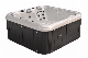 Hot Sale New Product 5 Persons Outdoor Massage Bathtub Hot Tub Spas with SPA