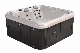 Inground SPA Pool for Sale Bath Jacuzzi 5 Person Hot Tub manufacturer