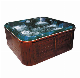  Pool Sauna Bubble Massage Bath Portabl Pool Sauna Bubble Massage Bath Portabl Jakuzi Outdoor SPA Bathtub