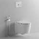Bto Modern Sanitaryware Rimless Wall Mounted Toilet Concealed Cistern Wall Hung Toilet manufacturer