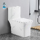  Made in China Ceramic Modern Style Sanitary Ware Bathroom S Trap/P Trap Water Closet Toilet Bowl Washdown One Piece Toilet