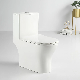  Made in China Modern Ceramic Designs One Piece Wc Toilet Cheap Price P-Trap S-Trap Closestool Toilets