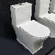 High Quality 1 Piece Toilet Bathroom Ceramic Toilet Sanitary Ware Porcelain Wc Floor Mount Closestool Toilet for Bathroom Floor Standing Toilet Set