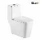 Wholesale Best Economical Ceramic White Siphon One Piece Toilet Bowl Toilet Sanitary for Bathroom