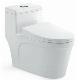  One Piece Wc Water Saving Siphon Flushing Water Closet Sanitaryware Toilet (Hz5947)