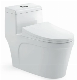 One Piece Wc Water Saving Siphon Flushing Water Closet Sanitaryware Toilet (Hz5947)