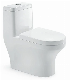 Ceramic Sanitaryware Bathroom Furniture Water Saving One Piece Toilet (Hz5540)