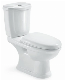  Ceramic Sanitary Ware Water Saving Siphon Flushing Water Closet Two Piece Toilet (Hz814)