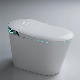 Baby Seat Mode Bathroom Smart Wc Intelligent Automatic Water Closet Electric Toilet