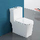  New Design One Piece Toilet Wc