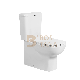 High Quality Chinese Wc Dual-Flush Floor Mounted Toilets Open Back Rimless Two-Piece Water Closet Toilet manufacturer