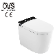  Ovs CE Europe Automatic Electric Toilet Bidet Valve Flow Auto Flush Intelligent Smart Toilets