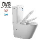Ovs Cheap High Quality Ceramic Wash Down Ceramic Wc Bathroom Toilets Two Piece Toilet